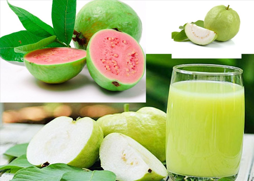 Nguyên liệu làm nước ép ổi