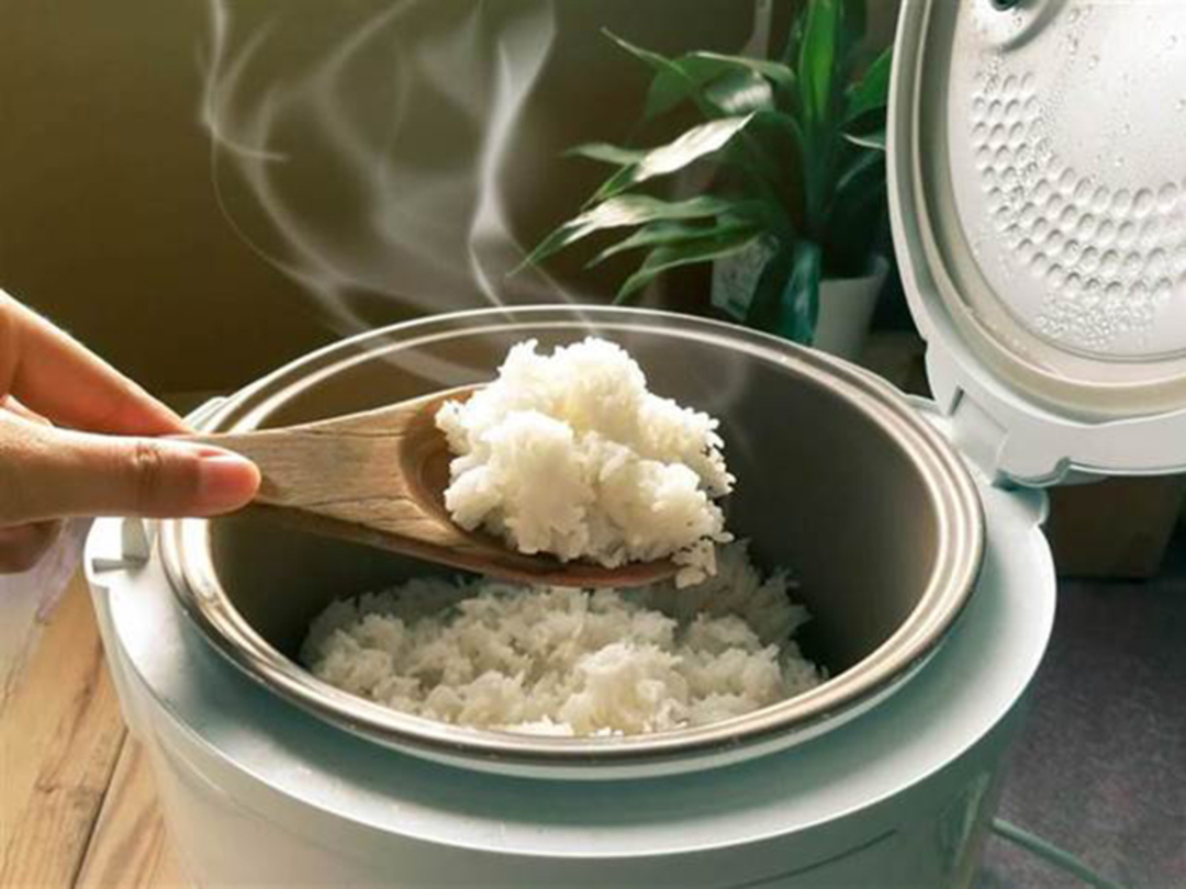 Nguyên nhân khiến kiến vô nồi cơm điện