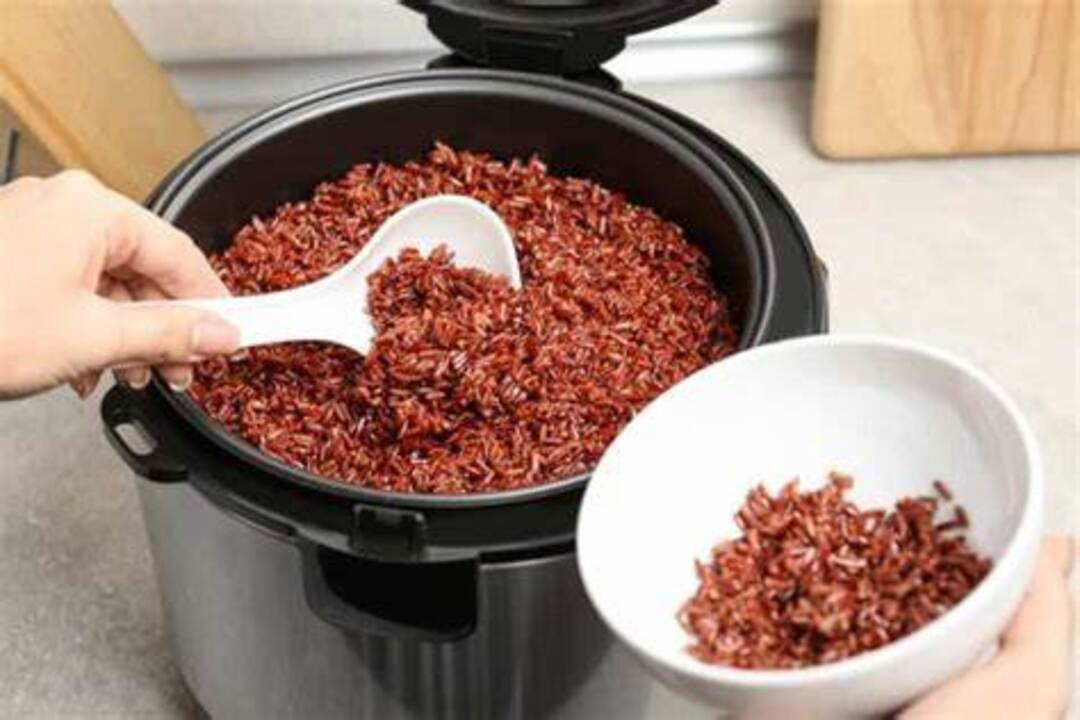 nồi cơm điện nào nấu gạo lức ngon