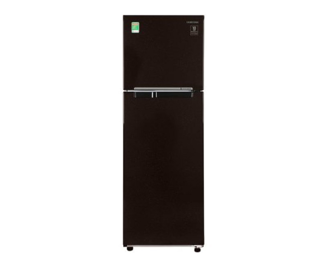 Tủ lạnh Samsung Inverter 208 lít RT20HAR8DBUSV