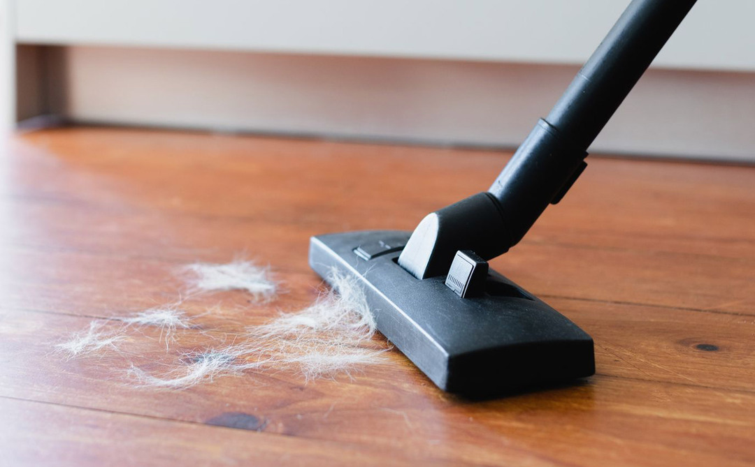 Bí quyết chọn mua máy hút bụi phù hợp với lông chó