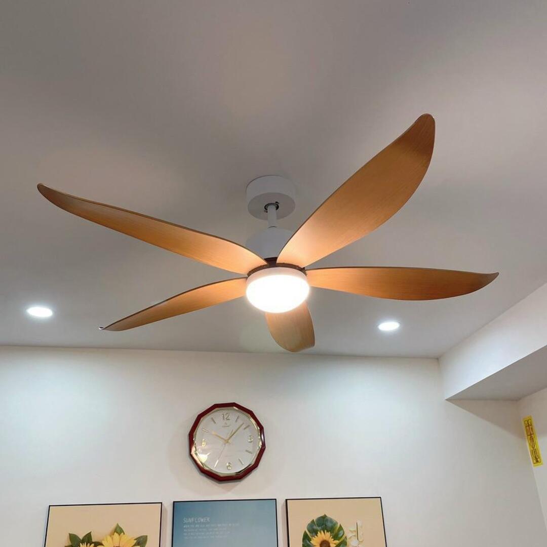 Kinh nghiệm chọn mua quạt trần
