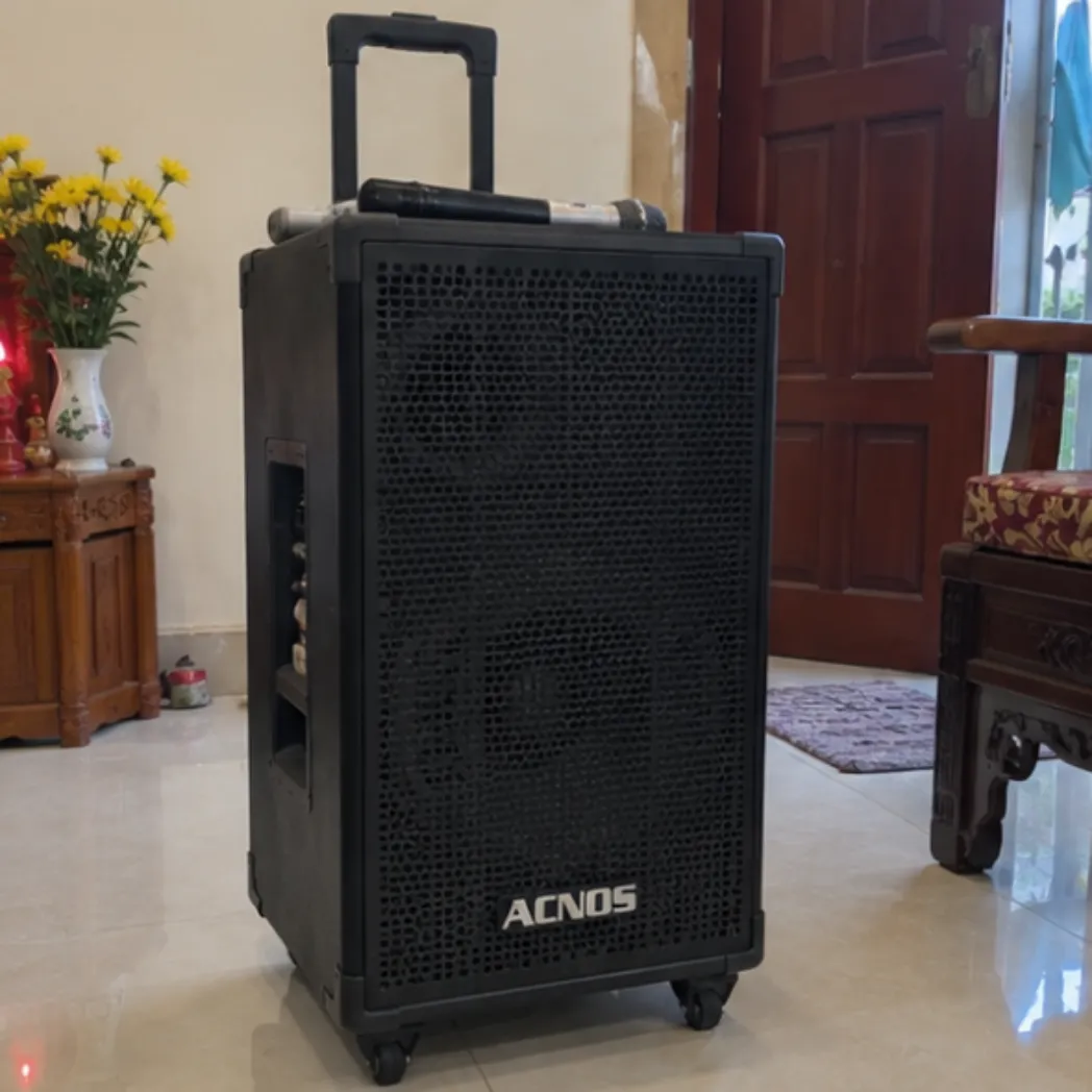 Bùi Tiến Đạt sửa loa kéo Acnos